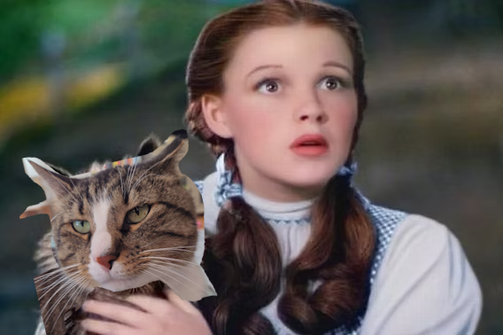Russell, we're not in Kansas anymore...